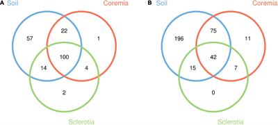 Analysis of Internal and External Microorganism Community of Wild Cicada Flowers and Identification of the Predominant Cordyceps cicadae Fungus